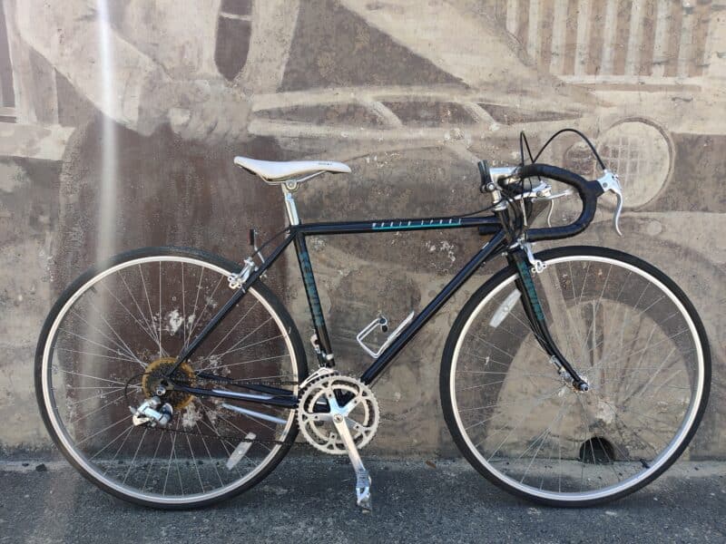 Schwinn World Sport