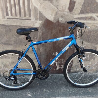 Diamondback Outlook