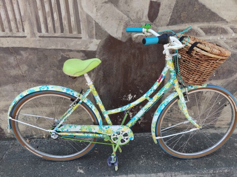 Floral Cruiser