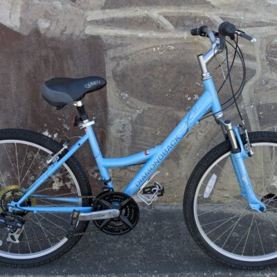 Diamondback Wildwood Stepthrough