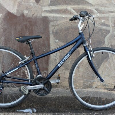 Raleigh Detour 3.5 stepthrough